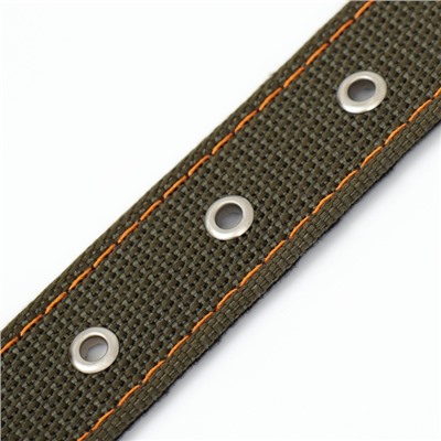 Ошейник брезентовый с подкладом, 72×3.5 см, ОШ 45-60 см, хаки