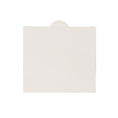 Ловушка для комнат и оранжерей "ARGUS ЭКО", 1 шт