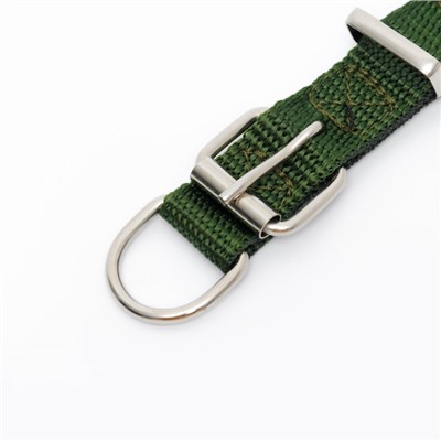 Ошейник «Комфорт» комбинированный (полиэстер, искусственная кожа), 55×2.5 см, ОШ 40-50 см, зелёный