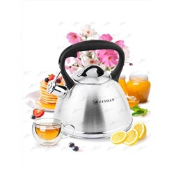 ZEIDAN Чайник Z-4468