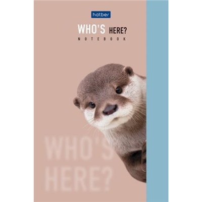 Блокнот А6  40л клетка на склейке "Кто здесь?" (093598) Хатбер