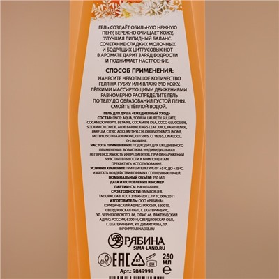 Подарочный набор «Сочное настроение»: гель для душа и пена для ванны, 2×250 мл, URAL LAB
