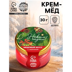 Крем-мёд «С новым годом!», вкус: малина, 30 г