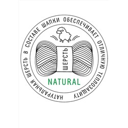 CLEVER Шапка