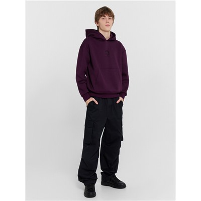 ХУДИ МУЖСКОЕ 121806-1