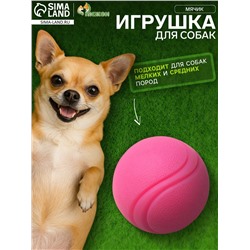 Мячик для собак, 6 см, цельнолитой, прыгучий, TPR, розовый