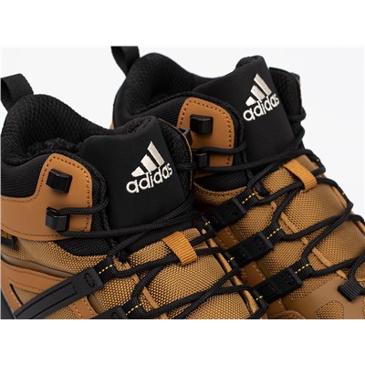 Зимние Ботинки Adidas Terrex Winter