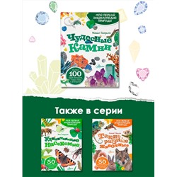 АСТ Генералов М.Е. "Чудесные камни"