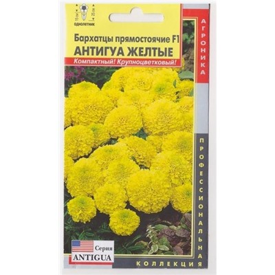 Бархатцы Антигуа Желтые F1 (Код: 75711)