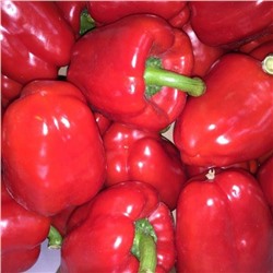 5067D Перец сладкий Солист 5шт