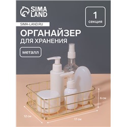 Органайзер для хранения косметических принадлежностей «РАФАЭЛЬ», 17×12×6 см, цвет золотистый