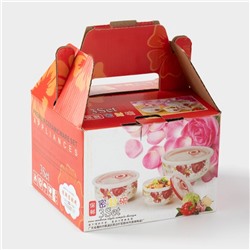 Набор салатников с вакуумными крышками «Ирена», 3 предмета: 300 мл, 600 мл, 900 мл, керамика