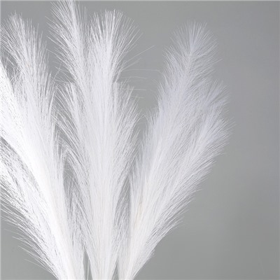 Сухоцветы искусственные «Пампасная трава», 70 см, 3 шт., белый