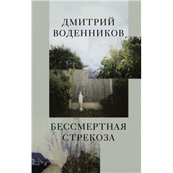 АСТ Дмитрий Воденников "Бессмертная стрекоза"