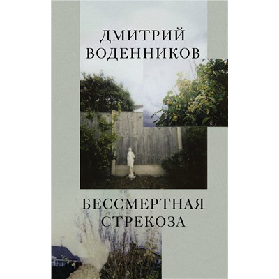 АСТ Дмитрий Воденников "Бессмертная стрекоза"