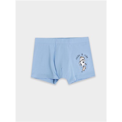 ТРУСЫ ДЛЯ МАЛЬЧИКОВ 413350