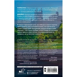 АСТ Эшли Хэшброу "Безупречное столкновение"
