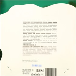 Новогодний набор фигурного шоколада «Кролик с шишкой и колокольчиком», 48 г