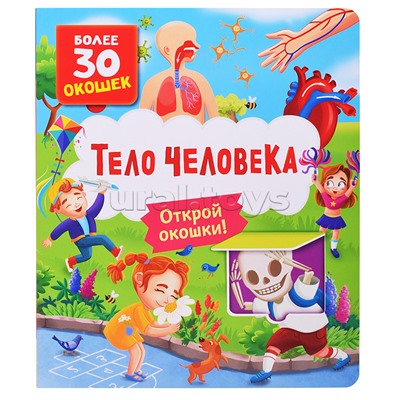 Книги с окошками. Тело человека