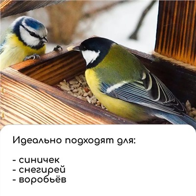 Кормушка - конструктор из ХДФ для птиц «Терция», своими руками, 16×18×23 см, Greengo
