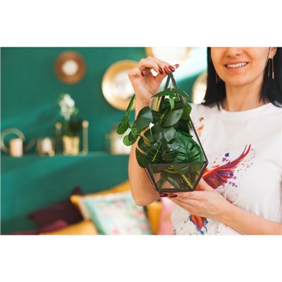 Флорариум каркас, 13×24 см, чёрный