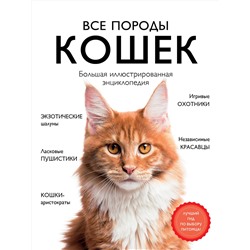 Эксмо Алина Ярощук, Людмила Романова "Все породы кошек. Большая иллюстрированная энциклопедия"