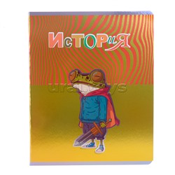 Комплект предметных тетрадей Тетрадь 48л "Лягушкина жизнь" 10 предметов