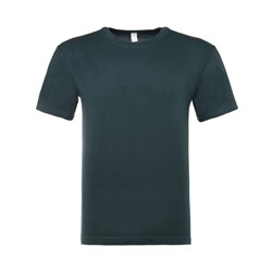 Футболка мужская Collorista, плотность 145 г/м², зелёная, размер 42-44