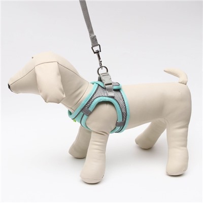 Шлейка с поводком, размер S, ОШ 33-36 см, ОГ 35-40 см, поводок150×1.5 см, ОШ 33-36 см, ОГ 35-40 см, быстросъёмная, мягкая, бирюзовая