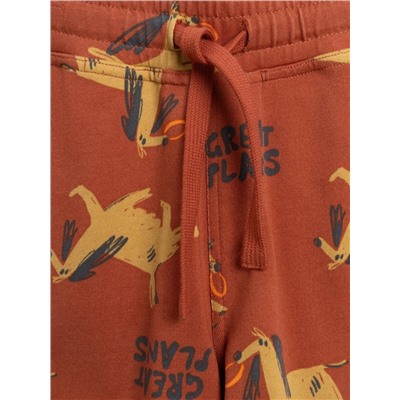 Acoola Набор 20124200025