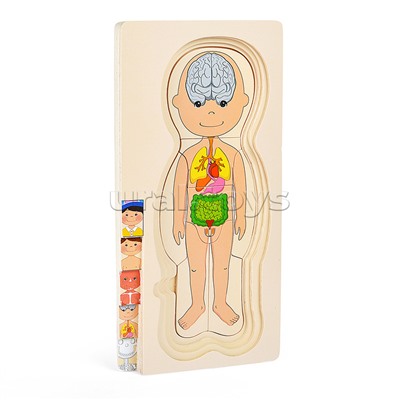 Пазл-вкладыш "Мальчишка"