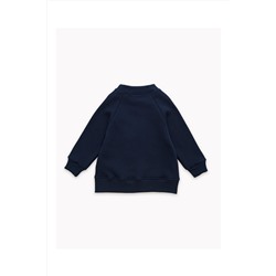 Толстовка футер начёс Хэйл 40201