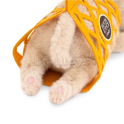 Кот Барсик в сумке бежевый 56