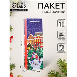 Пакет подарочный новогодний под бутылку, упаковка «Праздник в городе», 12×36×8.5 см