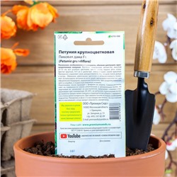 Семена цветов Петуния крупноцветковая «Пиковая дама», F1, Premium seeds