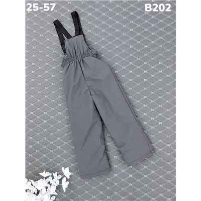 Брюки B202 серый