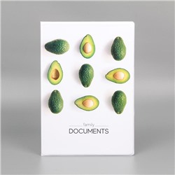 Папка для семейных документов Docs, 8 файлов А4