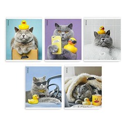 Тетрадь  48л клетка "КОТ С УТКОЙ" 70924 Феникс