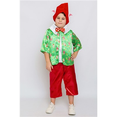 Костюм Гном Вася BATIK CASUAL, 1035296