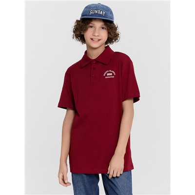 ПОЛО ДЛЯ МАЛЬЧИКОВ 113458