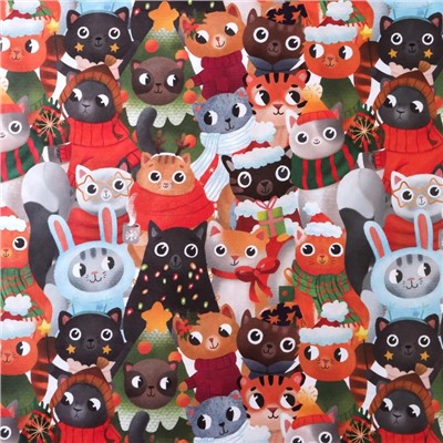 Бумага упаковочная крафтовая «Котики», 50×70 см