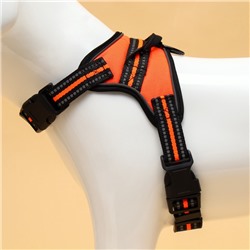 Шлейка улучшенная К7, размер S, ОГ 44-55 см, вес 5-9 кг, мягкая, светоотражающая, оранжевая