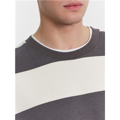 СВИТШОТ МУЖСКОЙ 121813/1