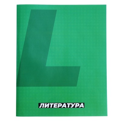 Тетрадь предметная, 36 листов в линейку, Calligrata «MonoTone. Литература», серые листы