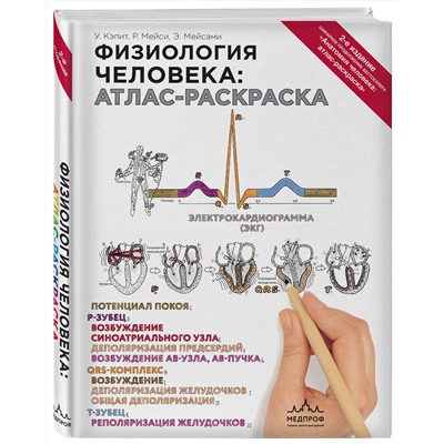 Эксмо Уинн Кэпит, Роберт Мейси, Эсмаил Мейсами "Физиология человека: атлас-раскраска"