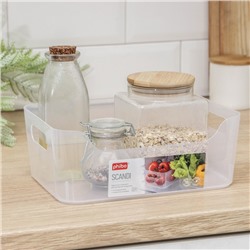Корзина для хранения Scandi, 3,1 л, 24×17×9 см, прозрачная