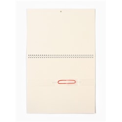 Календарь настенный квартальный 2026 «Лошадь с котенком», 30×46 см