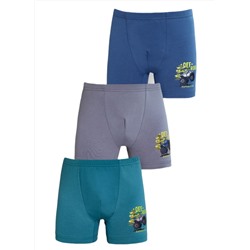 Трусы для мальчика Berrak