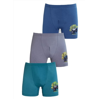 Трусы для мальчика Berrak