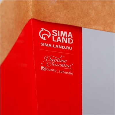 Пакет подарочный новогодний крафтовый с пластиковым окном «С Новым годом», 31×26×11 см